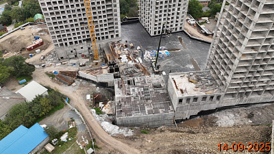 Борисенко 48