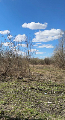 село С Новолуговое