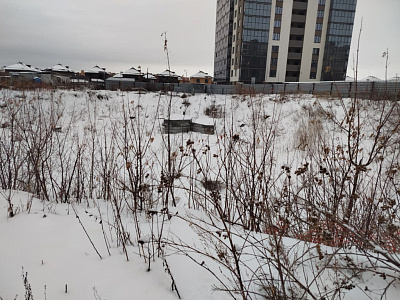 Расцветай на Зорге