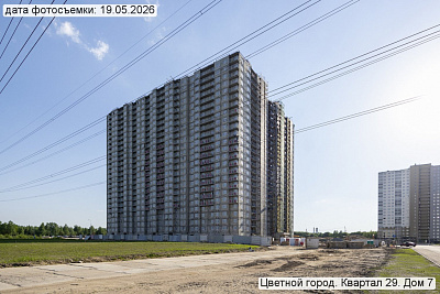 Цветной город