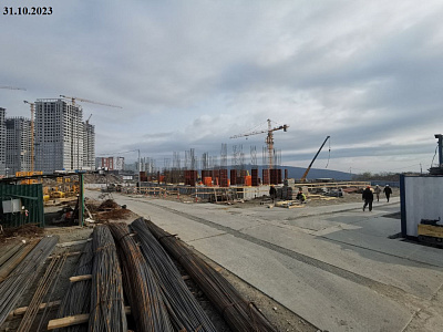 г. Владивосток, ул Каштановая