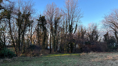 Село Агой