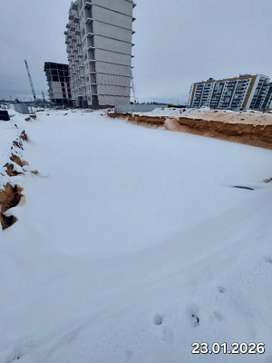 Деревня Борисовичи