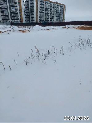 Деревня Борисовичи