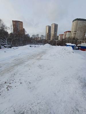 Расцветай на Кропоткина