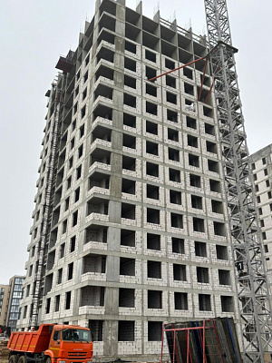Темп