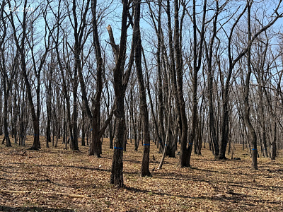 Жилой комплекс