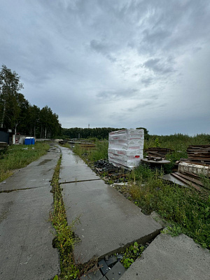 Расцветай на Зорге
