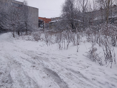 Современник