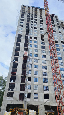 КУРКИНО15