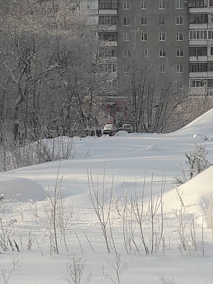 Макаринская роща