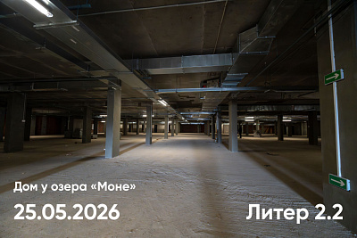 Моне. Дом у озера