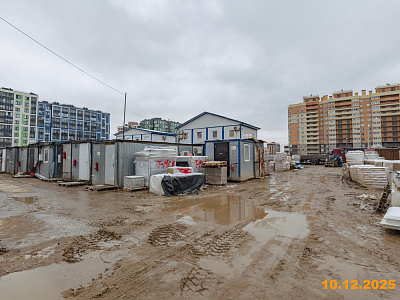 Янинский лес