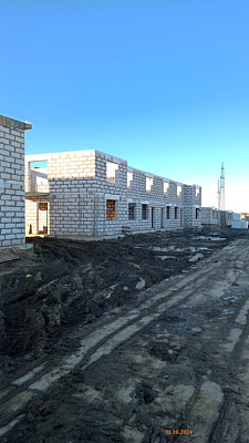 ЛО, Городской поселок Фёдоровское, Улица Меньшиковская