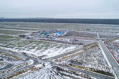 ЛО, Деревня Новосаратовка