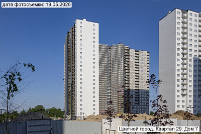 Цветной город