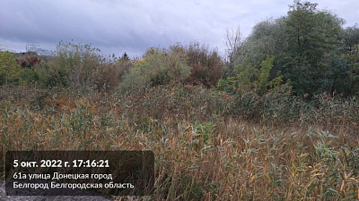 г. Белгород, ул Донецкая