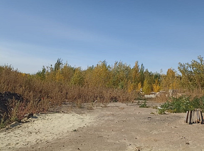г. Тамбов, Улица Заводская