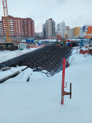 Сакура парк
