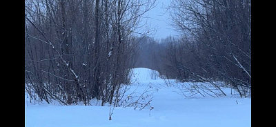 село С Новолуговое