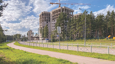 ВЕРЕН НОРТ СЕРТОЛОВО 