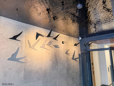 Стрижи Сити