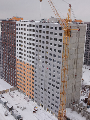 г. Воронеж, Улица
