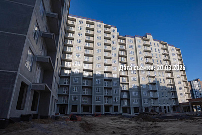 Концепт-проект 