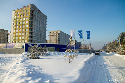 Экосити