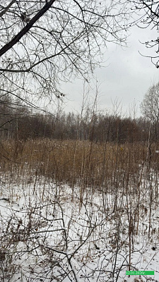 Жилой комплекс