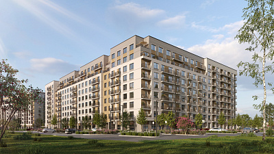 Брусника в Академическом