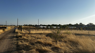 Село Новоселовка, Улица Виноградная