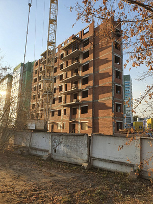 Березовая роща
