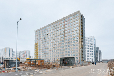 Парголово