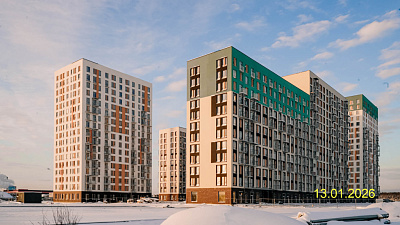 Невская Долина корпус 1.1