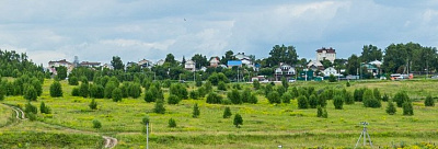 Новинки 