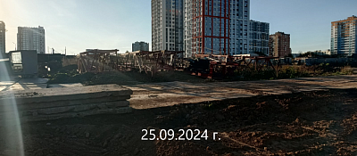 Норвежский лес