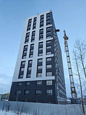 ЖК Пульс
