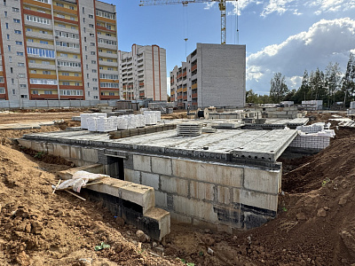 Деревня Новосельцы