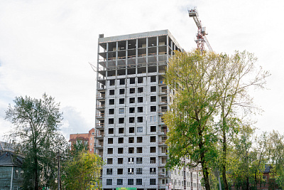 Аквилон Шайн