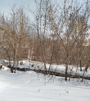 г. Новосибирск