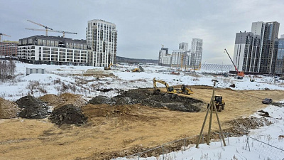 г. Екатеринбург, Улица Академика Ландау