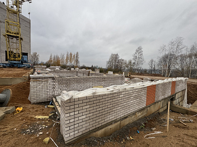 Деревня Новосельцы