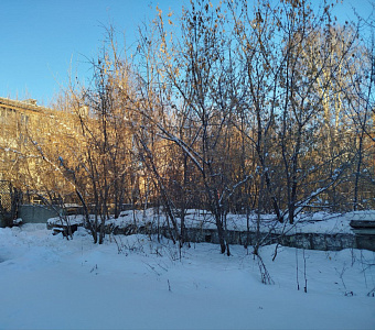 г. Новосибирск