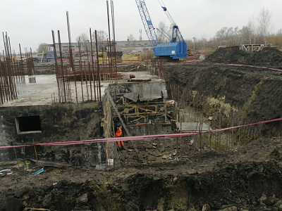 Новая Заря