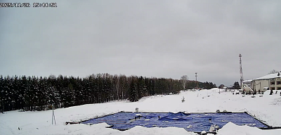 Ёлки город в лесу (Корпус 6)