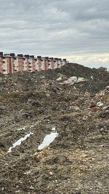 Поселок Новая Адыгея, Улица Бжедугская