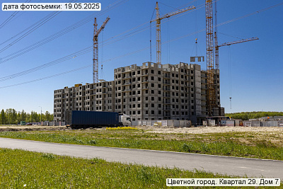 Цветной город