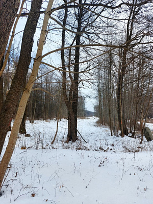 Комплекс апартаментов OTRADA resort