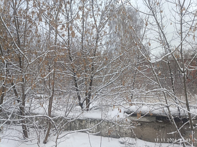 г. Новосибирск
